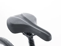 Verve 3 Disc Lowstep Gen 4 - 2022