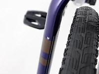 Verve 3 Disc Lowstep Gen 4 - 2022