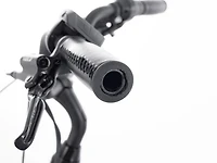 Townie Go! 5i EQ Step-Over - 2025