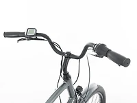 Townie Go! 5i EQ Step-Over - 2025
