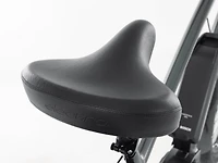 Townie Go! 5i EQ Step-Over