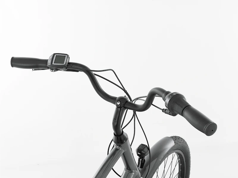 Townie Go! 5i EQ Step-Over - 2025, 26"