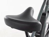 Townie Go! 5i EQ Step-Over - 2025