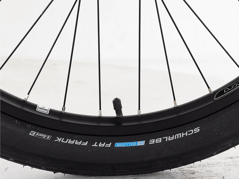 Townie Go! 5i EQ Step-Over - 2025