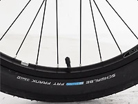 Townie Go! 5i EQ Step-Over - 2025