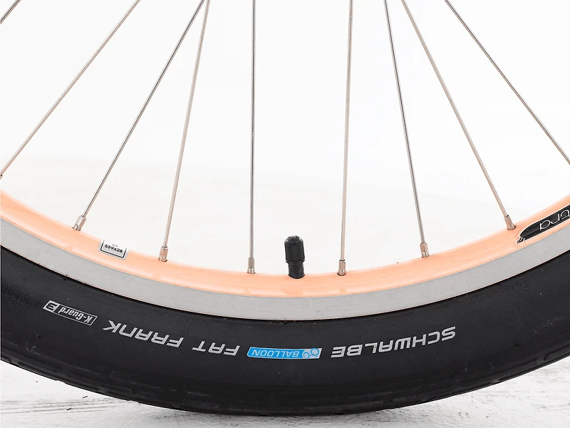 Townie Go! 5i EQ Step-Thru - 2024