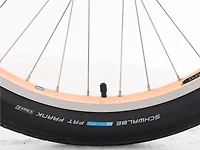 Townie Go! 5i EQ Step-Thru - 2024