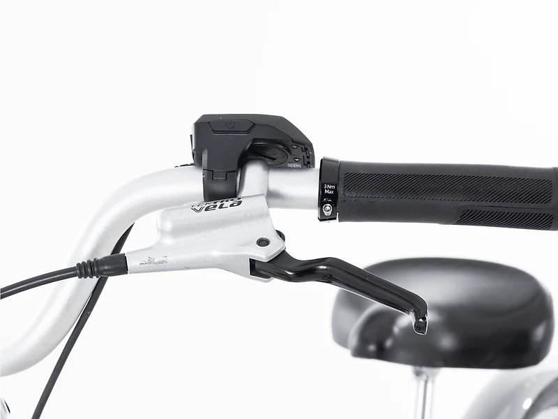 Townie Go! 5i EQ Step-Thru - 2024