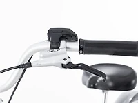 Townie Go! 5i EQ Step-Thru - 2024