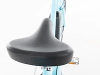 Townie Go! 5i EQ Step-Thru - 2025, 26"