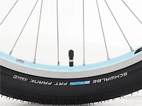 Townie Go! 5i EQ Step-Thru - 2025, 26"