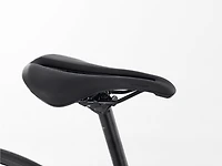 Domane AL 2 Rim - 2024, 47cm