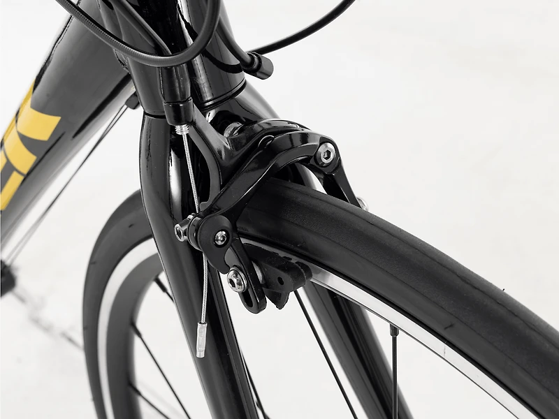 Domane AL 2 Rim - 2024, 47cm