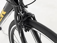 Domane AL 2 Rim - 2024, 47cm