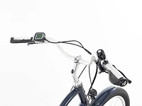 Townie Go! 8D EQ Step-Thru - 2022, Medium