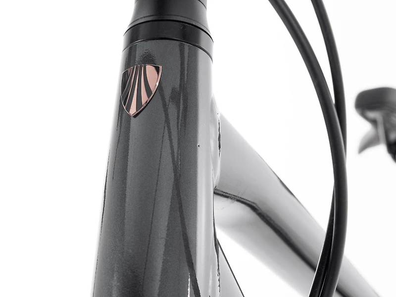 District 4 Equipped - 2023, Medium