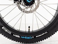 Roscoe 20 - 2023, 20"