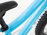 Roscoe 20 - 2023, 20"