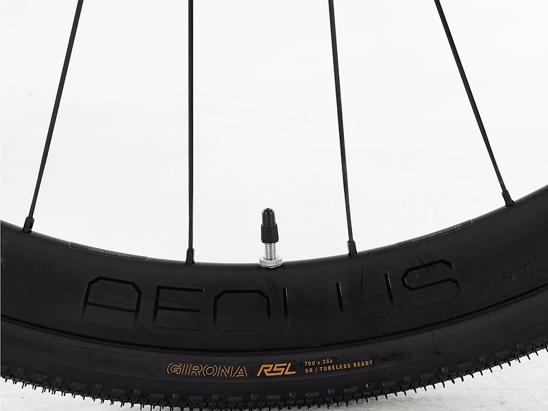 Domane SLR 6 Gen 4 - 2024, 47cm