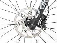Remedy 8 - 2022, X-Large
