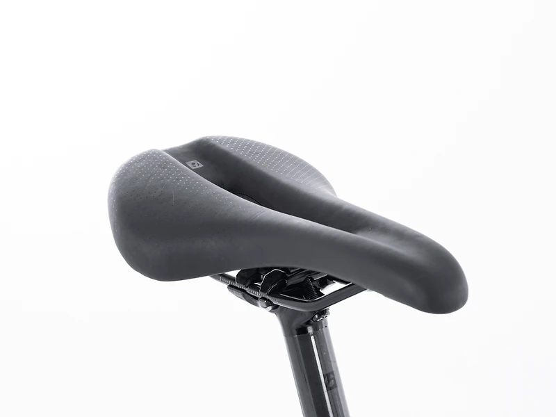 Checkpoint SL 5 - 2024, 58cm