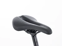 Checkpoint SL 5 - 2024, 58cm