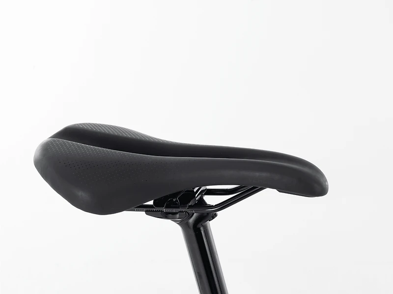 Domane AL 5 Gen 3 - 2023, 58cm