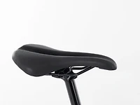 Domane AL 5 Gen 3 - 2023, 58cm