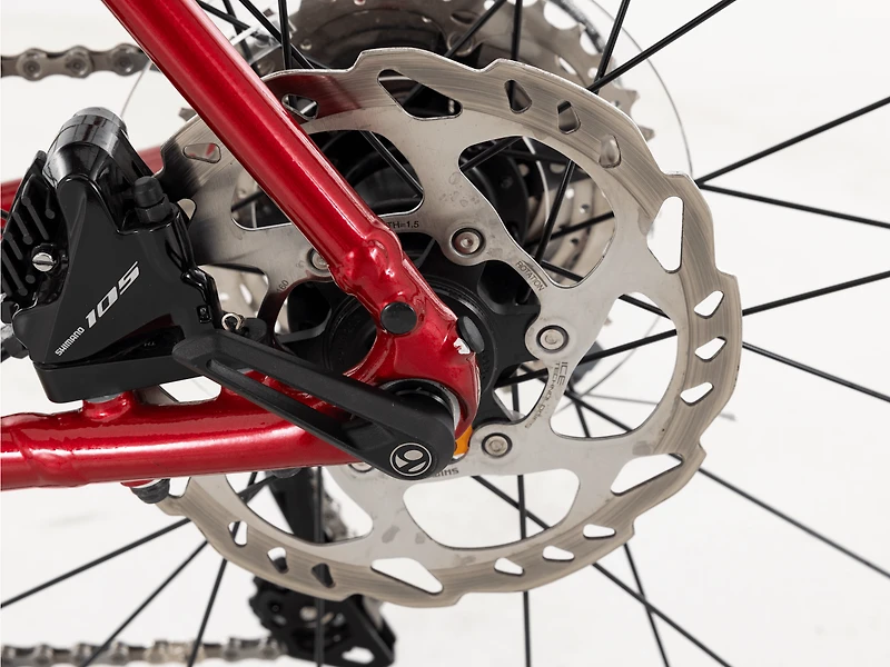 Domane AL 5 Gen 3 - 2023, 58cm