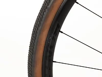 Checkpoint SL 6 AXS Gen 2 - 2023, 56cm