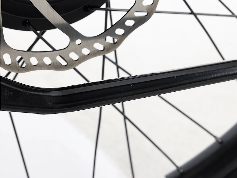 Cruiser Go! Step-Over - 2024
