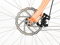 Cruiser Go! Step-Thru - 2024