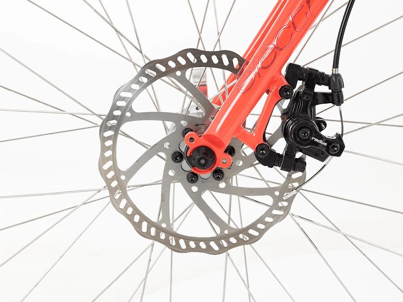 Townie Go! 7D Step-Thru - 2024, Medium