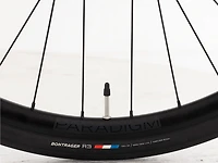 FX Sport 5 - 2024, Medium