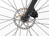 Domane+ AL 5 - 2024, 49cm