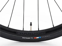 Domane+ AL 5 - 2024