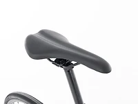 Domane+ AL 5 - 2024, 61cm