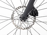 Domane+ AL 5 - 2024, 61cm