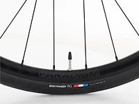 Domane+ AL 5 - 2024, 56cm