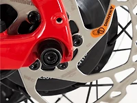 Domane+ AL 5 - 2024, 56cm