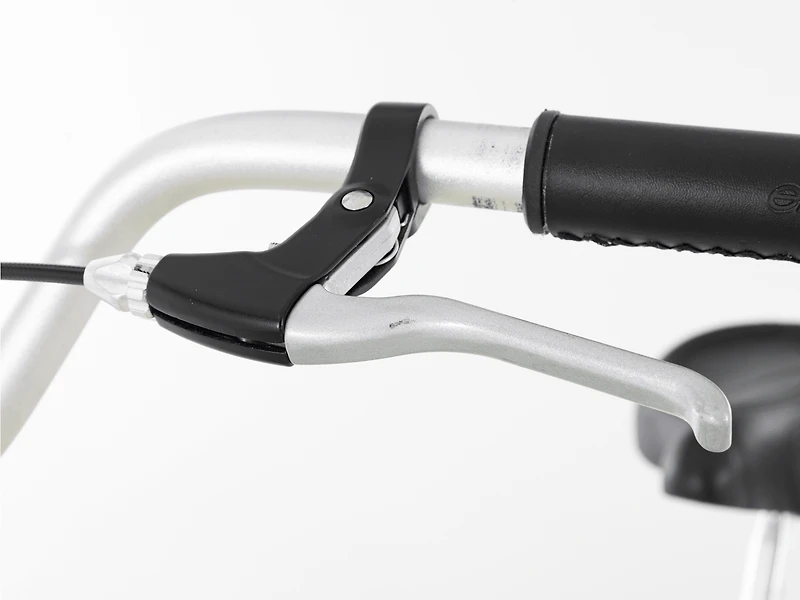 Townie 7D Step-Thru - 2025