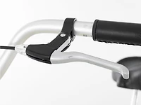 Townie 7D Step-Thru - 2025