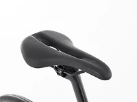 Domane SL 6 Gen 4 - 2024, 56cm