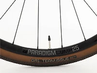 Domane SL 6 Gen 4 - 2024, 62cm