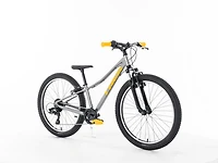 Precaliber 24 8-speed Suspension