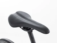 Domane+ AL 5 - 2024