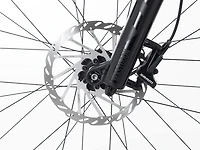 Farley 7 - 2024, X-Large