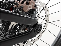 Fuel EX C Gen 6 Custom - 2025