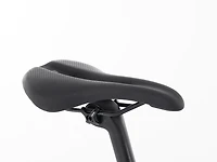 Domane SL 6 AXS Gen 4 - 2024, 56cm