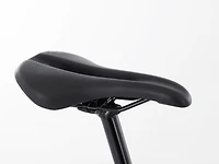 Domane AL 4 Gen 3 - 2023, 58cm